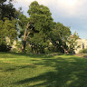 Meet your Posher, Coco